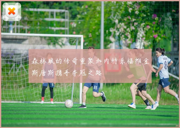 森林狼的传奇重聚加内特乐福维金斯唐斯携手夺冠之路